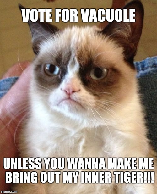 cellllllllllllllsssssssss | VOTE FOR VACUOLE; UNLESS YOU WANNA MAKE ME BRING OUT MY INNER TIGER!!! | image tagged in memes,grumpy cat | made w/ Imgflip meme maker