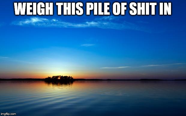 Inspirational Quote | WEIGH THIS PILE OF SHIT IN | image tagged in inspirational quote | made w/ Imgflip meme maker