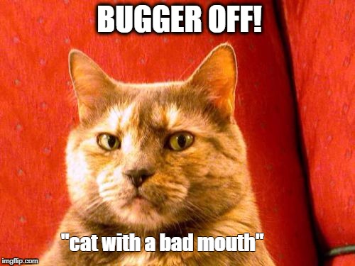 Suspicious Cat Meme | BUGGER OFF! "cat with a bad mouth" | image tagged in memes,suspicious cat | made w/ Imgflip meme maker