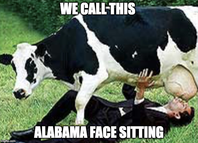 Udderly Wrong | WE CALL THIS; ALABAMA FACE SITTING | image tagged in udderly wrong | made w/ Imgflip meme maker
