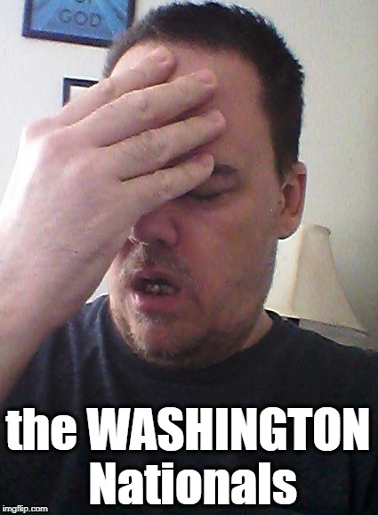 face palm | the WASHINGTON Nationals | image tagged in face palm | made w/ Imgflip meme maker