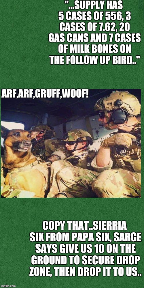 "...SUPPLY HAS 5 CASES OF 556, 3 CASES OF 7.62, 20 GAS CANS AND 7 CASES OF MILK BONES ON THE FOLLOW UP BIRD.."; ARF,ARF,GRUFF,WOOF! COPY THAT..SIERRIA SIX FROM PAPA SIX, SARGE SAYS GIVE US 10 ON THE GROUND TO SECURE DROP ZONE, THEN DROP IT TO US.. | image tagged in military,military humor | made w/ Imgflip meme maker
