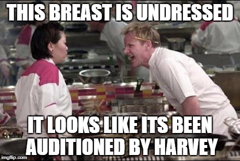 Angry Chef Gordon Ramsay Meme | THIS BREAST IS UNDRESSED; IT LOOKS LIKE ITS BEEN AUDITIONED BY HARVEY | image tagged in memes,angry chef gordon ramsay | made w/ Imgflip meme maker