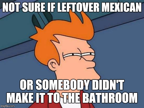 Futurama Fry | NOT SURE IF LEFTOVER MEXICAN; OR SOMEBODY DIDN'T MAKE IT TO THE BATHROOM | image tagged in memes,futurama fry | made w/ Imgflip meme maker