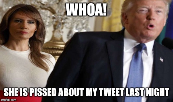 First Lady  | WHOA! SHE IS PISSED ABOUT MY TWEET LAST NIGHT | image tagged in twitter | made w/ Imgflip meme maker