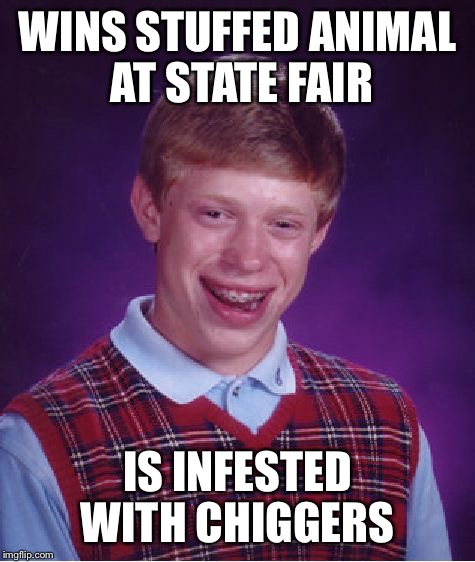 Bad Luck Brian Meme | WINS STUFFED ANIMAL AT STATE FAIR; IS INFESTED WITH CHIGGERS | image tagged in memes,bad luck brian | made w/ Imgflip meme maker