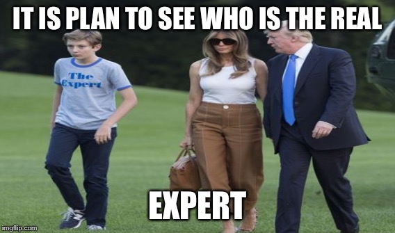 IT IS PLAN TO SEE WHO IS THE REAL; EXPERT | image tagged in expert | made w/ Imgflip meme maker
