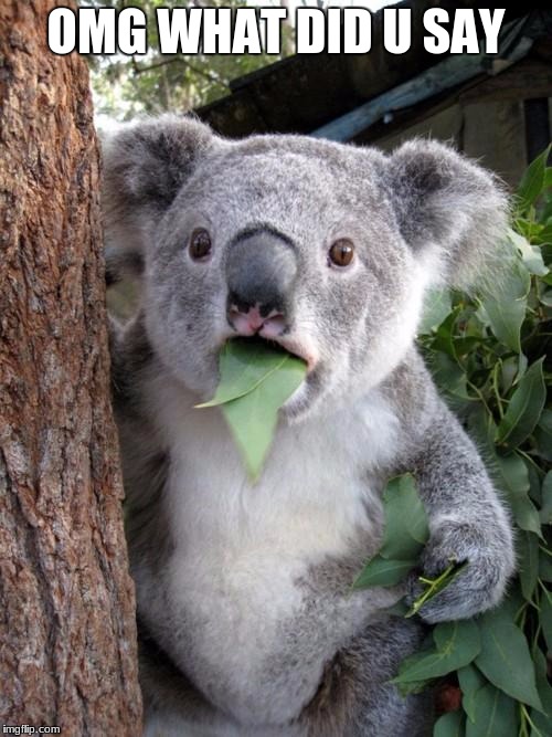 Surprised Koala | OMG WHAT DID U SAY | image tagged in memes,surprised koala | made w/ Imgflip meme maker