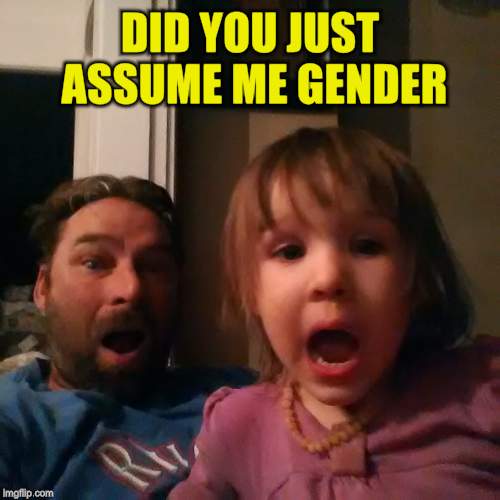 shocked dad daughter | DID YOU JUST ASSUME ME GENDER | image tagged in shocked dad daughter | made w/ Imgflip meme maker
