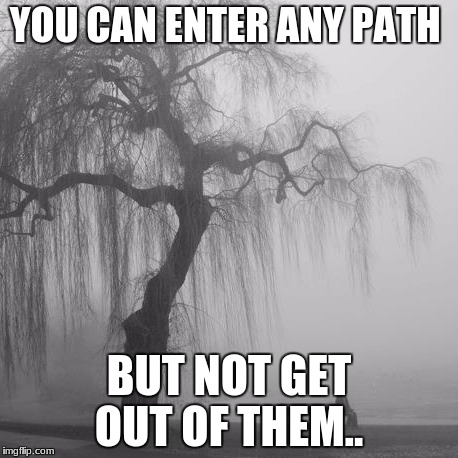 Lost | YOU CAN ENTER ANY PATH; BUT NOT GET OUT OF THEM.. | image tagged in lost | made w/ Imgflip meme maker