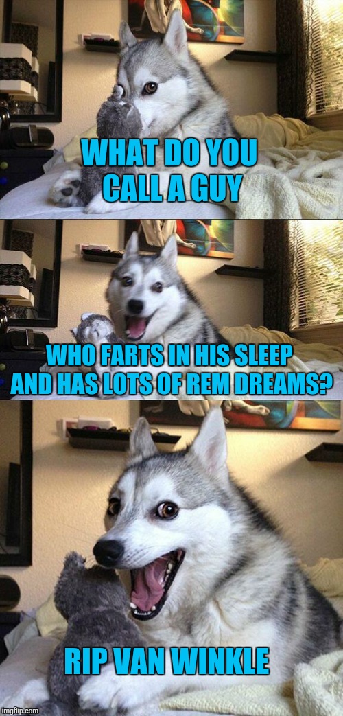 Bad Pun Dog Meme | WHAT DO YOU CALL A GUY; WHO FARTS IN HIS SLEEP AND HAS LOTS OF REM DREAMS? RIP VAN WINKLE | image tagged in memes,bad pun dog | made w/ Imgflip meme maker
