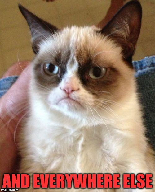 Grumpy Cat Meme | AND EVERYWHERE ELSE | image tagged in memes,grumpy cat | made w/ Imgflip meme maker