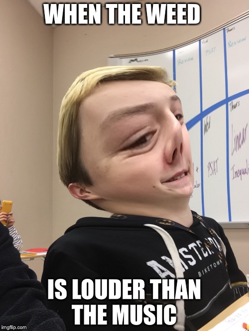 WHEN THE WEED; IS LOUDER THAN THE MUSIC | image tagged in memes,weed | made w/ Imgflip meme maker