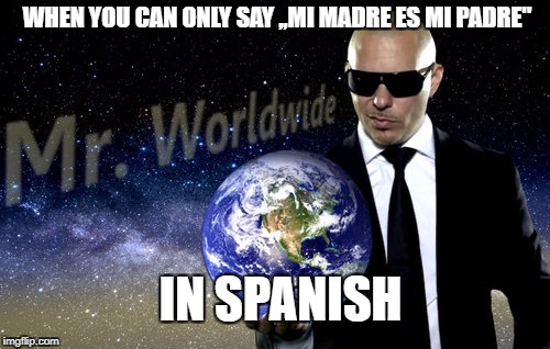 mr. worldwide | WHEN YOU CAN ONLY SAY ,,MI MADRE ES MI PADRE"; IN SPANISH | image tagged in mr worldwide | made w/ Imgflip meme maker
