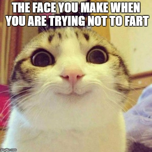 Smiling Cat Meme | THE FACE YOU MAKE WHEN YOU ARE TRYING NOT TO FART | image tagged in memes,smiling cat | made w/ Imgflip meme maker