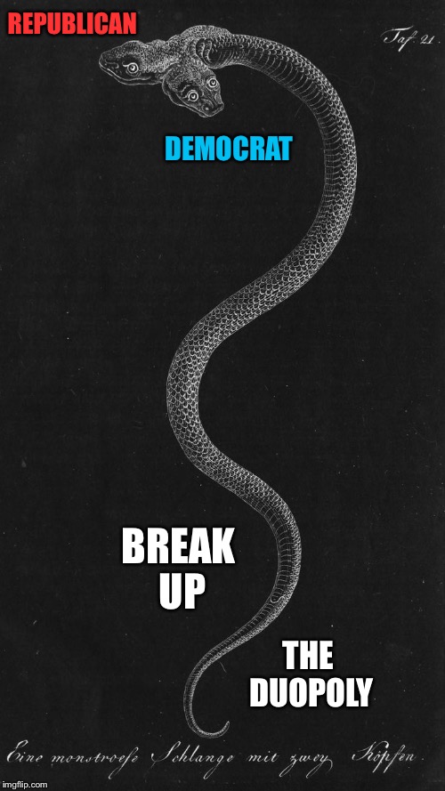 Break It Up |  REPUBLICAN; DEMOCRAT; BREAK UP; THE DUOPOLY | image tagged in duopoly,two headed,snake,democrat,republican,rigged | made w/ Imgflip meme maker
