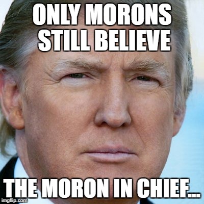 Moron in chief | ONLY MORONS STILL BELIEVE; THE MORON IN CHIEF... | image tagged in trump,moron | made w/ Imgflip meme maker