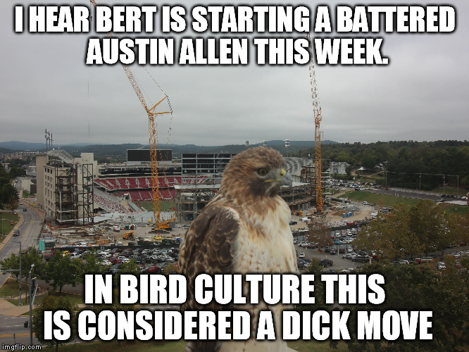I HEAR BERT IS STARTING A BATTERED AUSTIN ALLEN THIS WEEK. IN BIRD CULTURE THIS IS CONSIDERED A DICK MOVE | made w/ Imgflip meme maker