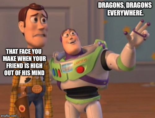 X, X Everywhere Meme | DRAGONS, DRAGONS EVERYWHERE. THAT FACE YOU MAKE WHEN YOUR FRIEND IS HIGH OUT OF HIS MIND | image tagged in memes,x x everywhere | made w/ Imgflip meme maker