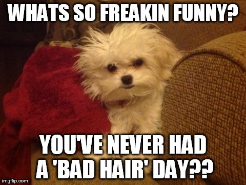 WHATS SO FREAKIN FUNNY? YOU'VE NEVER HAD A 'BAD HAIR' DAY?? | made w/ Imgflip meme maker