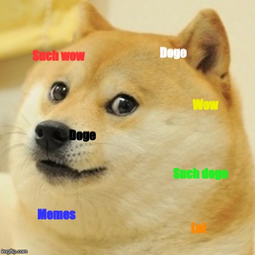 Doge | Doge; Such wow; Wow; Doge; Such doge; Memes; Lol | image tagged in memes,doge | made w/ Imgflip meme maker