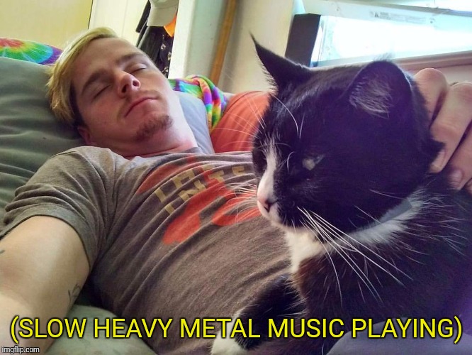 Slow heavy metal music playing cats | (SLOW HEAVY METAL MUSIC PLAYING) | image tagged in slow,heavy,metal,music,playing,cats | made w/ Imgflip meme maker