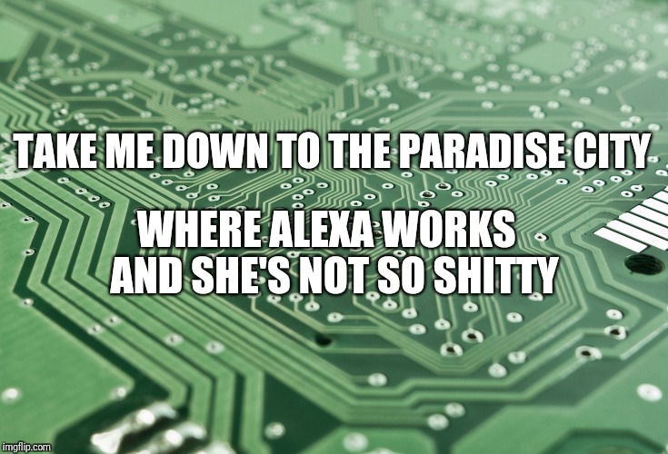 Artificial Inteli-Smarts. 
Take her home... She's ready reaper.. | TAKE ME DOWN TO THE PARADISE CITY; WHERE ALEXA WORKS   AND SHE'S NOT SO SHITTY | image tagged in alexa,amazon echo,funny,song lyrics,parody | made w/ Imgflip meme maker