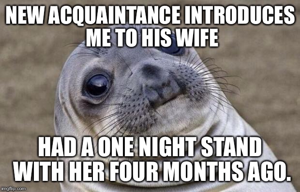 Awkward Moment Sealion Meme | NEW ACQUAINTANCE INTRODUCES ME TO HIS WIFE; HAD A ONE NIGHT STAND WITH HER FOUR MONTHS AGO. | image tagged in memes,awkward moment sealion | made w/ Imgflip meme maker