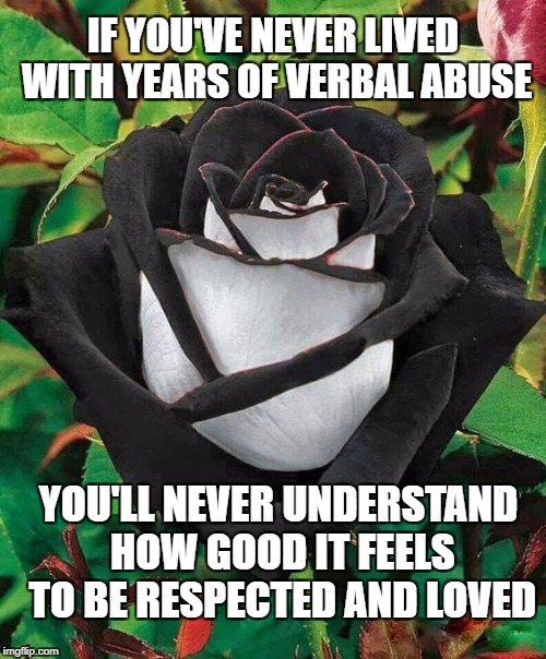 Respect | IF YOU'VE NEVER LIVED WITH YEARS OF VERBAL ABUSE; YOU'LL NEVER UNDERSTAND HOW GOOD IT FEELS TO BE RESPECTED AND LOVED | image tagged in new love,abuse,renewel,respect | made w/ Imgflip meme maker