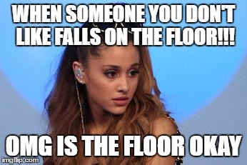 Ariana Grande | WHEN SOMEONE YOU DON'T LIKE FALLS ON THE FLOOR!!! OMG IS THE FLOOR OKAY | image tagged in ariana grande | made w/ Imgflip meme maker