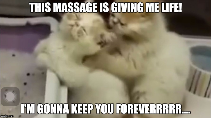 Kitty massage | THIS MASSAGE IS GIVING ME LIFE! I'M GONNA KEEP YOU FOREVERRRRR.... | image tagged in kitty massage | made w/ Imgflip meme maker