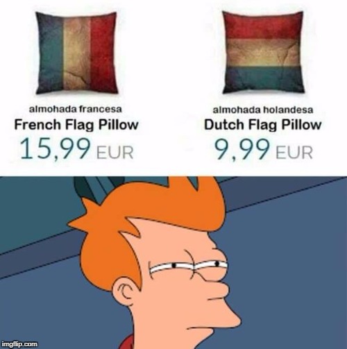 what the | image tagged in meme,what,futurama fry,french,dutch | made w/ Imgflip meme maker