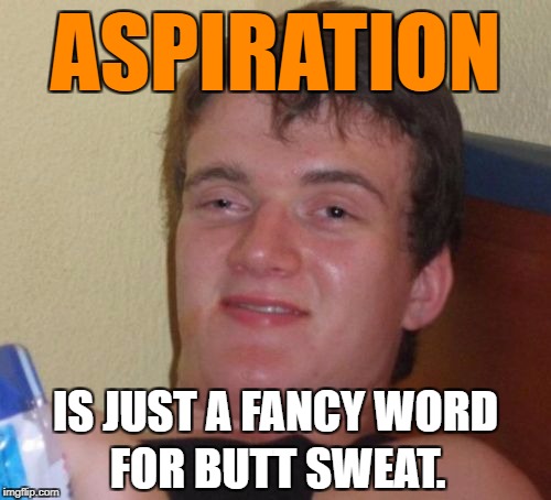 10 Guy | ASPIRATION; IS JUST A FANCY WORD; FOR BUTT SWEAT. | image tagged in memes,10 guy,funny,funny memes,college liberal,first world problems | made w/ Imgflip meme maker