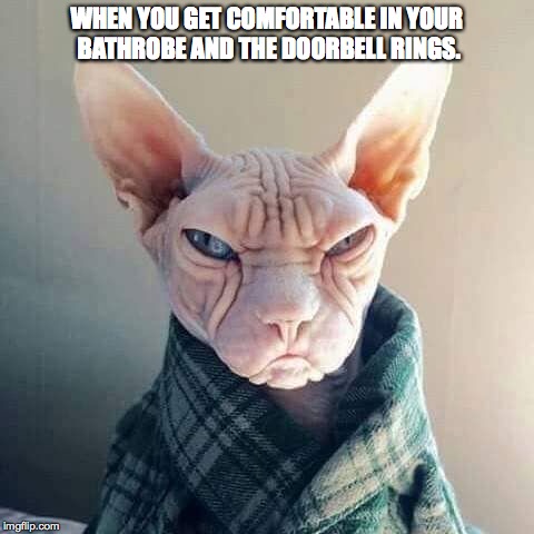 WHEN YOU GET COMFORTABLE IN YOUR BATHROBE AND THE DOORBELL RINGS. | made w/ Imgflip meme maker