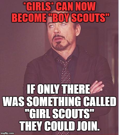Really???? |  *GIRLS* CAN NOW BECOME "BOY SCOUTS"; IF ONLY THERE WAS SOMETHING CALLED "GIRL SCOUTS" THEY COULD JOIN. | image tagged in memes,face you make robert downey jr,politics,political meme,political,first world problems | made w/ Imgflip meme maker