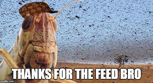 THANKS FOR THE FEED BRO | image tagged in feedbro,scumbag | made w/ Imgflip meme maker