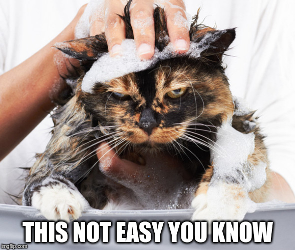 THIS NOT EASY YOU KNOW | made w/ Imgflip meme maker