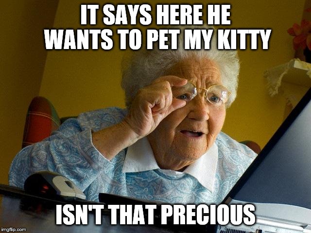 Grandma Finds The Internet Meme | IT SAYS HERE HE WANTS TO PET MY KITTY; ISN'T THAT PRECIOUS | image tagged in memes,grandma finds the internet | made w/ Imgflip meme maker