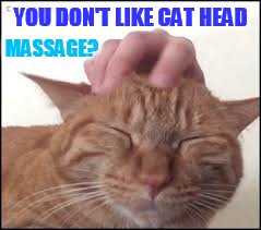 YOU DON'T LIKE CAT HEAD MASSAGE? | made w/ Imgflip meme maker