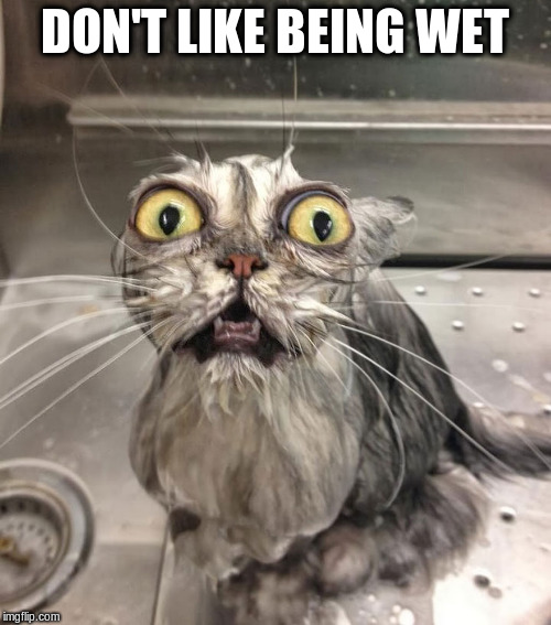 DON'T LIKE BEING WET | made w/ Imgflip meme maker
