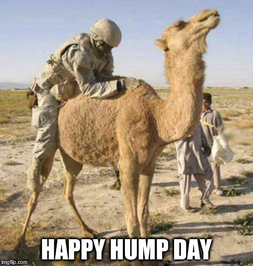 HAPPY HUMP DAY | made w/ Imgflip meme maker