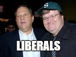 true liberals | LIBERALS | image tagged in liberals | made w/ Imgflip meme maker