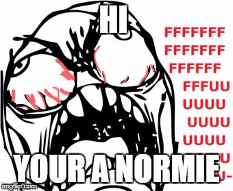 NORMIE MEME | HI; YOUR A NORMIE | image tagged in normie meme | made w/ Imgflip meme maker