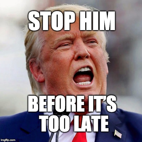 Stop him before it's too late. | STOP HIM; BEFORE IT’S TOO LATE | image tagged in donald trump,trump,maga,conman,dangerous | made w/ Imgflip meme maker