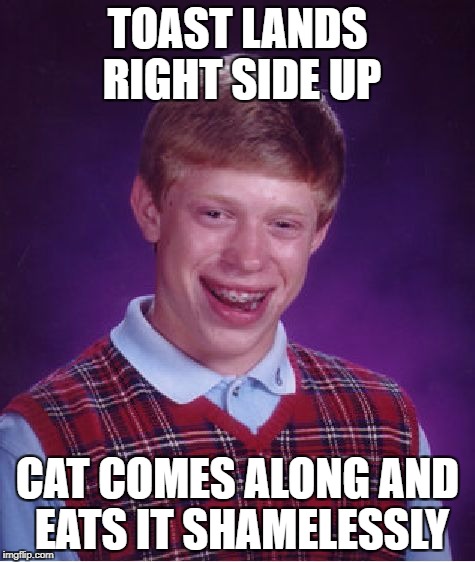 Bad Luck Brian Meme | TOAST LANDS RIGHT SIDE UP CAT COMES ALONG AND EATS IT SHAMELESSLY | image tagged in memes,bad luck brian | made w/ Imgflip meme maker