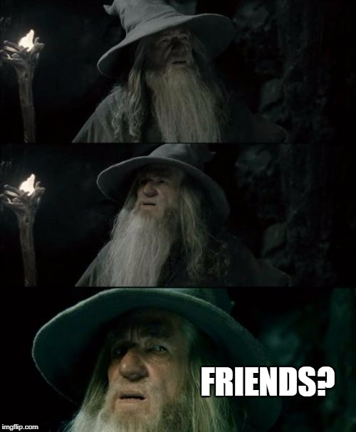 Confused Gandalf Meme | FRIENDS? | image tagged in memes,confused gandalf | made w/ Imgflip meme maker