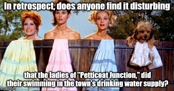 Petticoat Junctioin | In retrospect, does anyone find it disturbing; that the ladies of "Petticoat Junction," did their swimming in the town's drinking water supply? | image tagged in tv show | made w/ Imgflip meme maker
