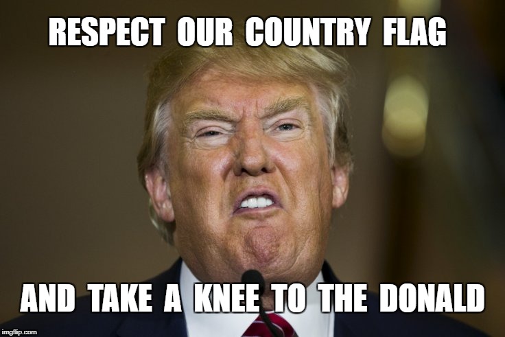TAKE A KNEE | RESPECT  OUR  COUNTRY  FLAG; AND  TAKE  A  KNEE  TO  THE  DONALD | image tagged in take a knee,respect the flag,donald trump | made w/ Imgflip meme maker