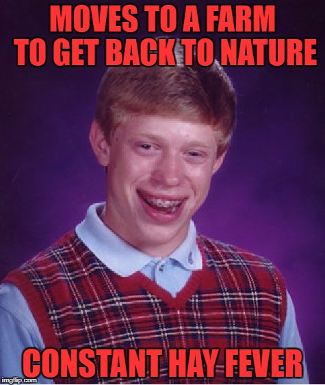 Bad Luck Brian Meme | MOVES TO A FARM TO GET BACK TO NATURE; CONSTANT HAY FEVER | image tagged in memes,bad luck brian | made w/ Imgflip meme maker