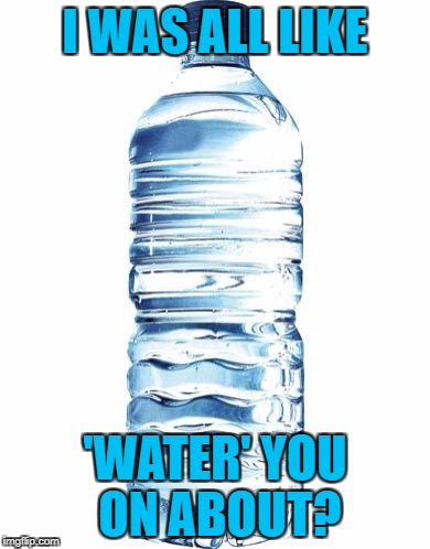 Everyday's a PunDay, and anyone (and anything) can get involved! | I WAS ALL LIKE; 'WATER' YOU ON ABOUT? | image tagged in memes,water,bad pun | made w/ Imgflip meme maker